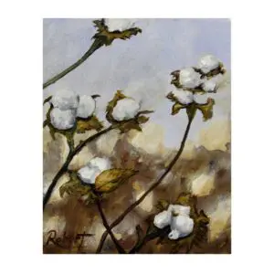 "High Cotton" Fine Art Print by Robert MacDonald