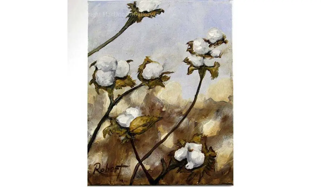 “High Cotton” by Robert MacDonald