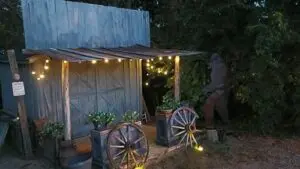 Art Retreats Store at Night | MacDonald Gallery