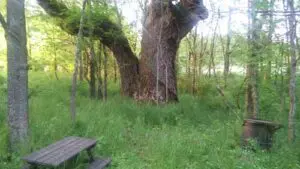 Art Retreats Uncle Heavy | MacDonald Gallery