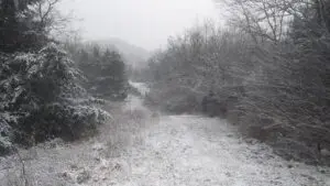 Art Retreats Winter Scene | MacDonald Gallery